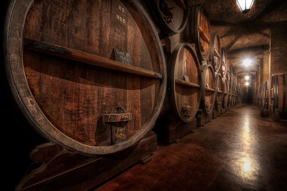 Old Wine Cellar in Mendoza