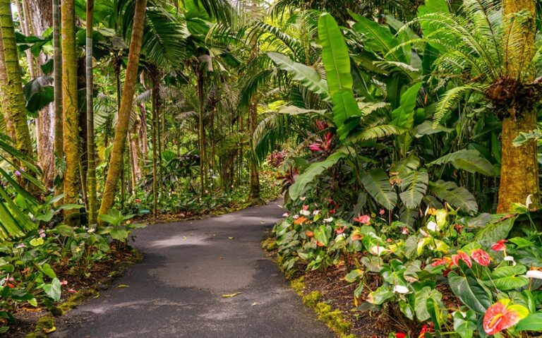 58 Hawaii Instagram Captions That Go Beyond the Filter