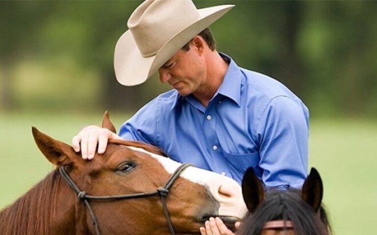 chris cox horsemanship net worth