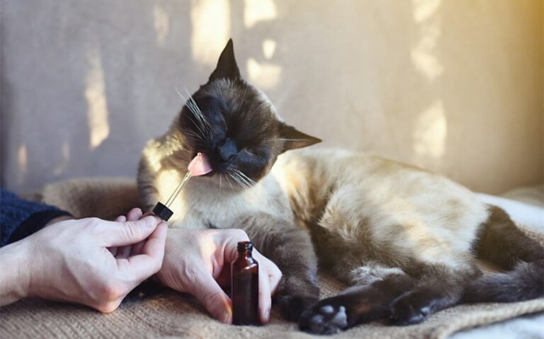 What Impact Does Cannabidiol Have