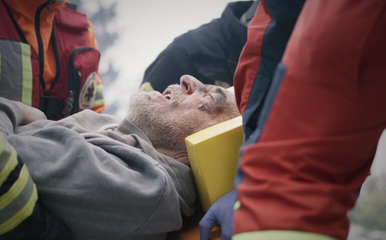 When Catastrophic Injuries Require Specialized Legal Help
