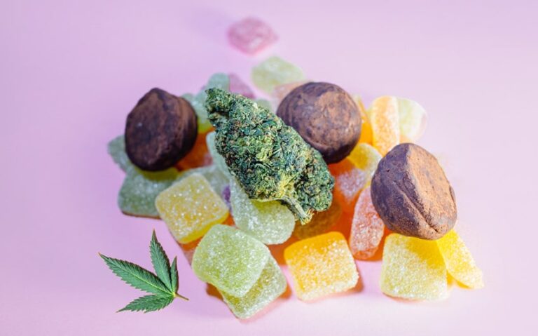 Shilajit Gummies for Travel