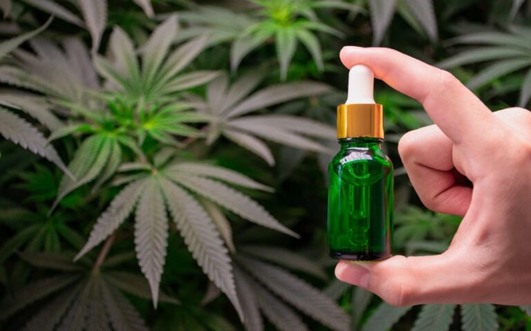 best cbd oil in canada