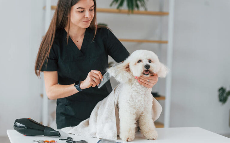 Making Grooming a Positive Experience for Your Pet
